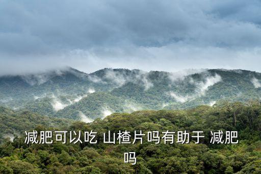  減肥可以吃 山楂片嗎有助于 減肥嗎