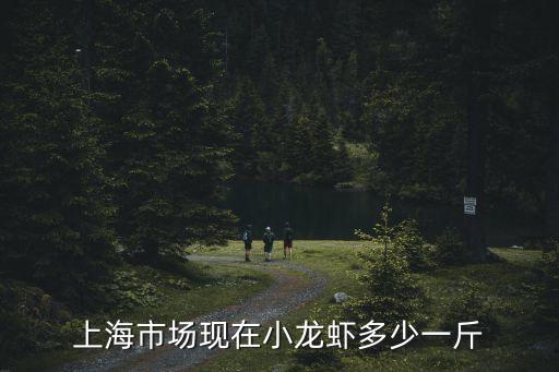 上海市場現在小龍蝦多少一斤