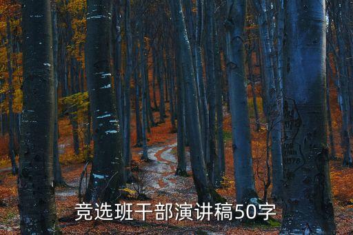 競選班干部演講稿50字