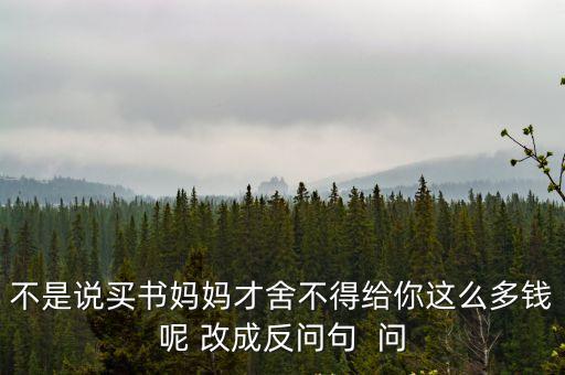 不是說買書媽媽才舍不得給你這么多錢呢 改成反問句  問