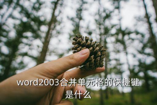 word2003合并單元格的快捷鍵是什么