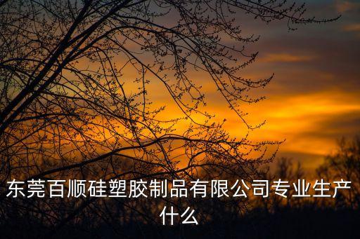 東莞百順硅塑膠制品有限公司專業生產什么