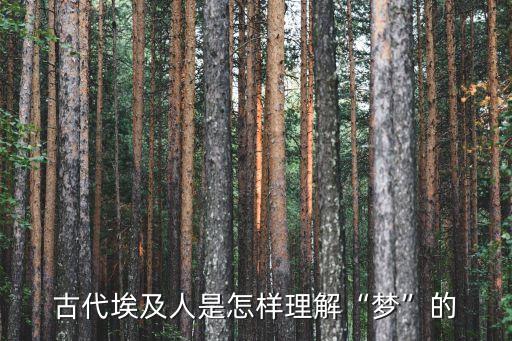 古開來,《西游記》中的孫悟空是否認是盤古叔叔?