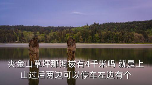 夾金山草坪那海拔有4千米嗎 就是上山過后兩邊可以停車左邊有個