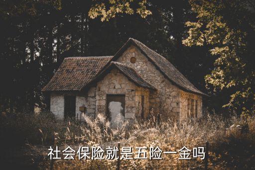 社會保險就是五險一金嗎