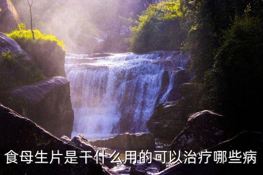 食母生片是干什么用的可以治療哪些病