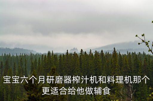 寶寶六個月研磨器榨汁機和料理機那個更適合給他做輔食
