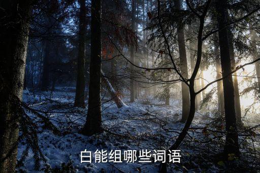 白能組哪些詞語