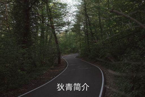 狄青,聶聶將軍狄青打西夏功勞不算大