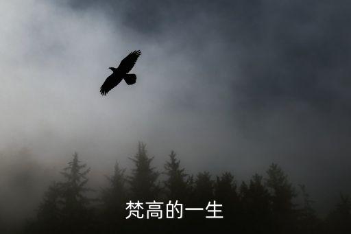 梵高的一生