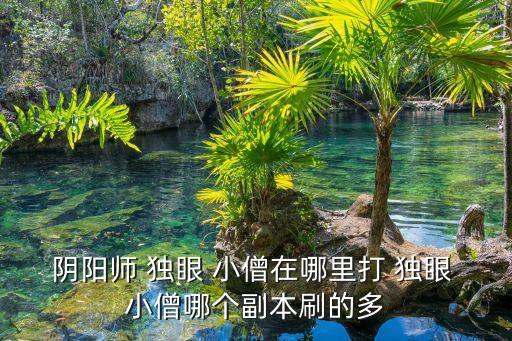 陰陽師 獨眼 小僧在哪里打 獨眼 小僧哪個副本刷的多