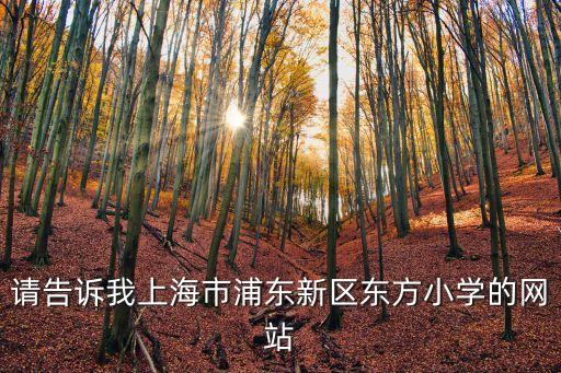 請告訴我上海市浦東新區東方小學的網站