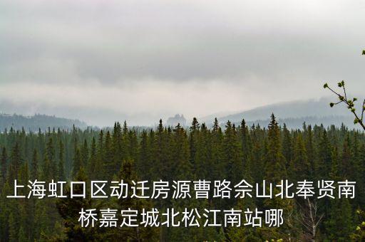 上海虹口區動遷房源曹路佘山北奉賢南橋嘉定城北松江南站哪