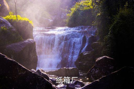 紙箱廠