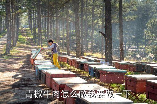 青椒牛肉怎么做我要做一下