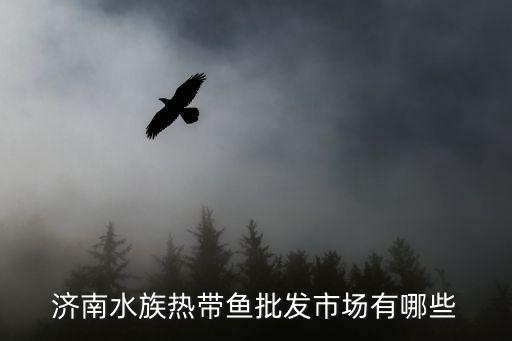 幸福時光ktv,鳳凰山水族市場一樓有水族二樓有狗