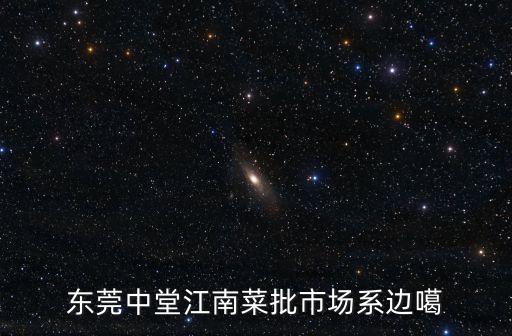 東莞中堂菜種，東莞中堂江南菜批市場系邊噶