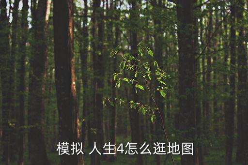 模擬人生4怎么玩,模擬人生4回顧（一）