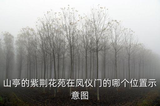 東莞常平紫荊花園地形圖，紫荊花園在哪