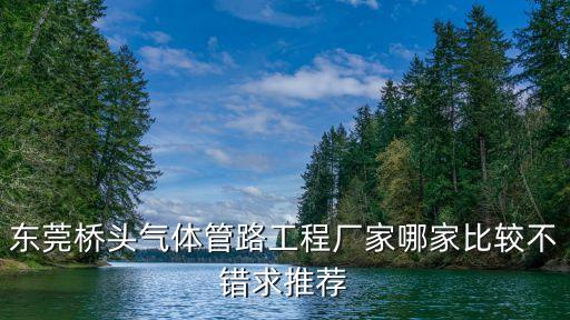 東莞氣管接頭生產，東莞大嶺山氣體管路工程廠家哪家好求推薦