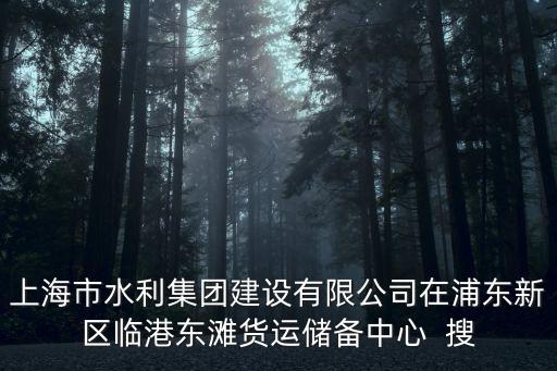 上海市水利集團建設(shè)有限公司在浦東新區(qū)臨港東灘貨運儲備中心  搜