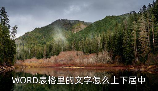 WORD表格里的文字怎么上下居中