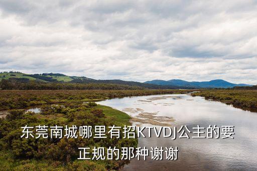 東莞ktv有dj公主招聘，東莞虎門哪里有招DJ公主