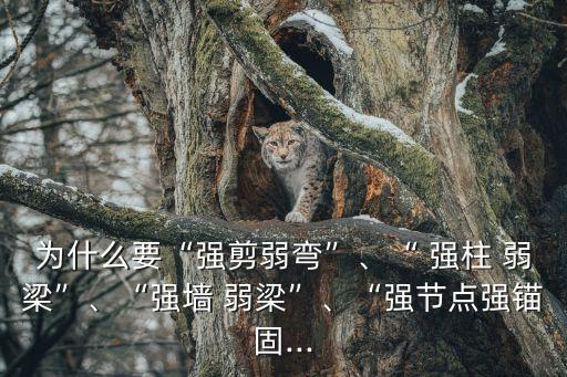 為什么要“強(qiáng)剪弱彎”、“ 強(qiáng)柱 弱梁”、“強(qiáng)墻 弱梁”、“強(qiáng)節(jié)點(diǎn)強(qiáng)錨固...