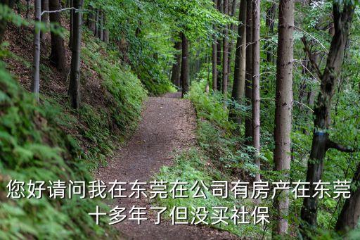 在東莞工作10年有多少積分，您好請問我在東莞在公司有房產在東莞十多年了但沒買社保