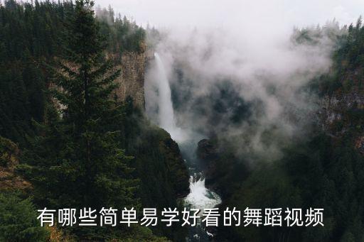 有哪些簡(jiǎn)單易學(xué)好看的舞蹈視頻