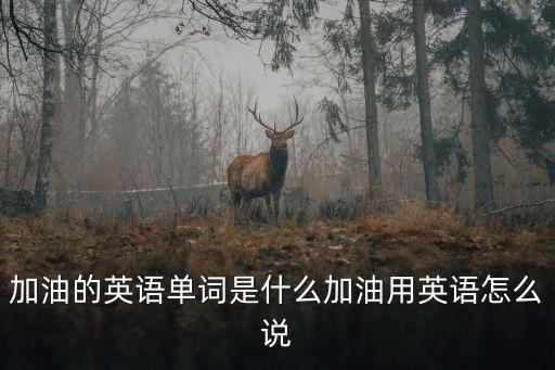 加油的英語，加油用英語怎么說