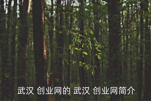  武漢 創(chuàng)業(yè)網的 武漢 創(chuàng)業(yè)網簡介