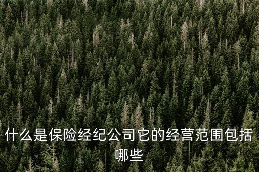 保險中介公司，國內有哪些好的保險經紀公司