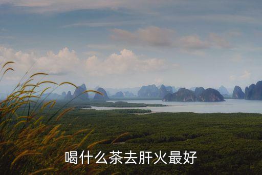 喝什么茶敗火,喝菊芋茶有助預防冠病毒入侵健康
