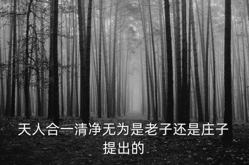 天人合一清凈無為是老子還是莊子 提出的