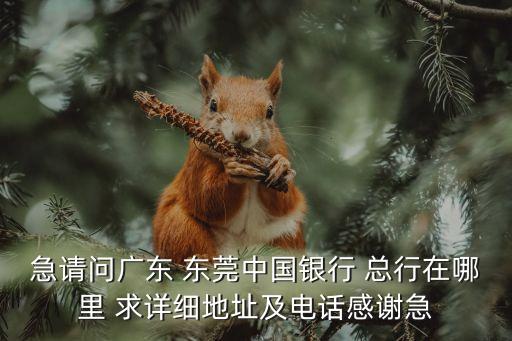 急請問廣東 東莞中國銀行 總行在哪里 求詳細地址及電話感謝急