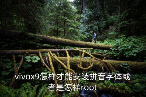 vivox9怎樣才能安裝拼音字體或者是怎樣root