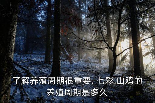 了解養殖周期很重要, 七彩 山雞的養殖周期是多久