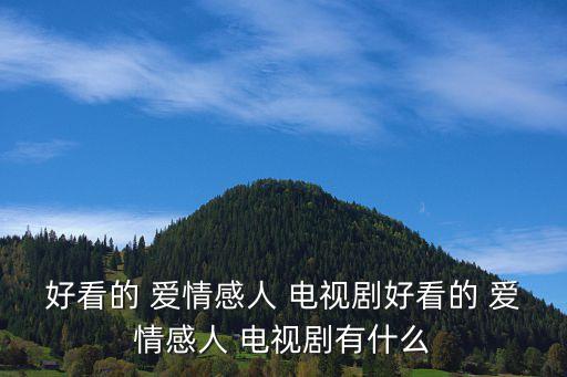 愛情電視劇有哪些,愛情婚姻電視劇有哪些