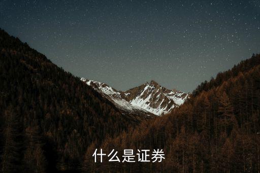 什么是證券，什么是證券投資