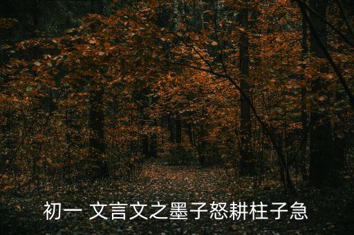 初一 文言文之墨子怒耕柱子急