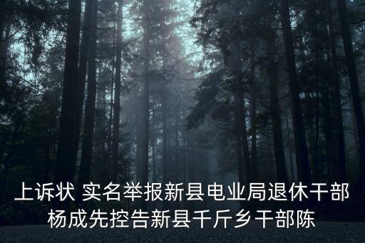 上訴狀 實名舉報新縣電業局退休干部楊成先控告新縣千斤鄉干部陳