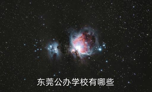 東莞公辦學校有哪些
