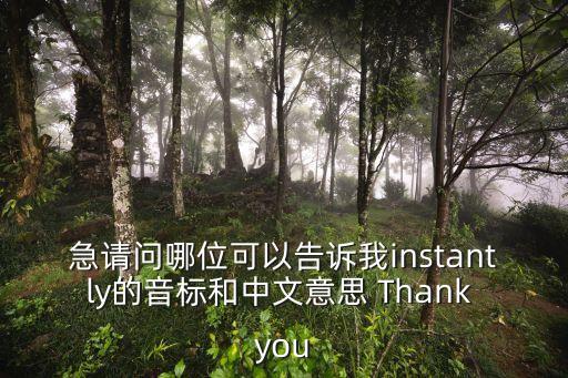 急請問哪位可以告訴我instantly的音標和中文意思 Thank you