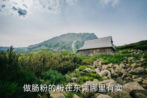 做腸粉的粉在東莞哪里有賣