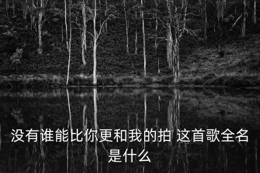 沒有誰能比你更和我的拍 這首歌全名是什么
