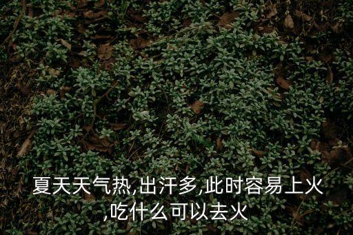  夏天天氣熱,出汗多,此時容易上火,吃什么可以去火