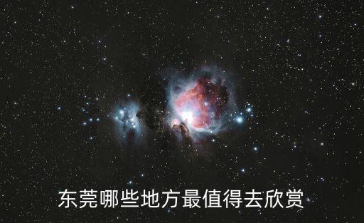 東莞盆景名園欣賞，東莞哪里有美麗漂亮的水生花卉荷花啊睡蓮什么的