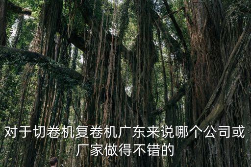 對于切卷機復卷機廣東來說哪個公司或廠家做得不錯的