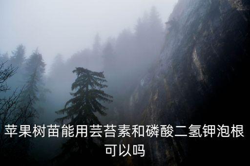 蘋果樹苗能用蕓苔素和磷酸二氫鉀泡根可以嗎